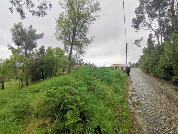 Limpeza de Terrenos - Jardinagem e Relvados