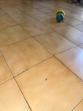 Tile Installation Professional