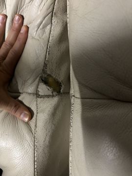 Upholstery Specialist