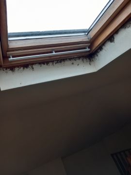 Skylight Installer