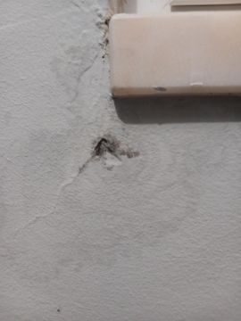 Bauunternehmen