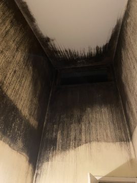 Pintura - Casa