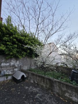 Jardinagem e Relvados