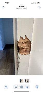 Woodwork and Carpentry
