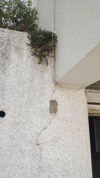 Pintura - Hogar