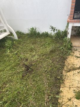 Serviço de Jardinagem