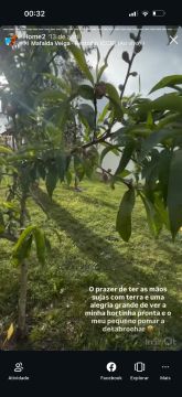 Jardinagem - Jardinagem e Relvados