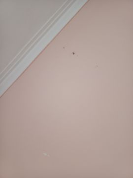 Pintura de Casas - Pintura