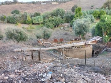 Remoção de Tronco de Árvore