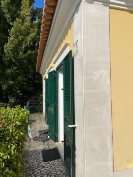 Baumpflege - Gartenarbeiten