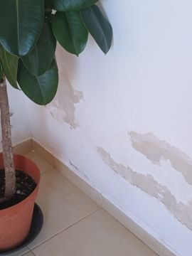 Empresa de Pladur