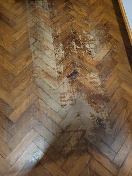 Flooring Specialist