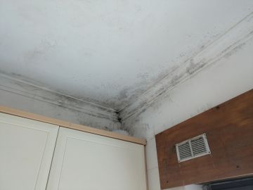 Pintura - Casa