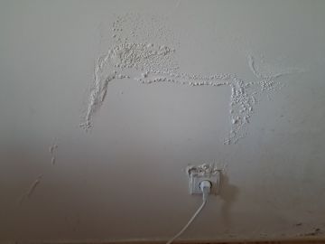 Pintor de Interiores