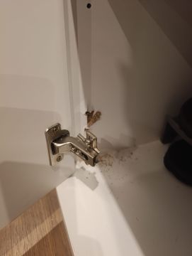 Handyman