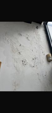 Aplicação de Estuque