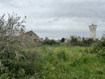 Limpeza de Terrenos - Jardinagem e Relvados