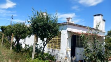 Roof Installation Professional - Home Improvements