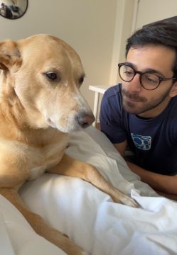 Dog Hotel