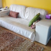 Upholstery Service