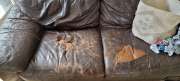Upholstery Repair