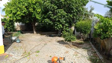 Jardinagem - Jardinagem e Relvados
