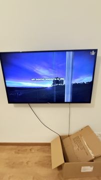 Reparador de TV