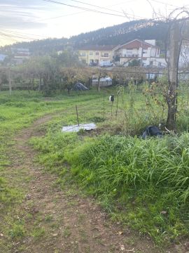 Serviço de Jardinagem