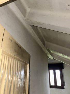 Roof Installation Professional