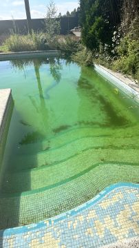 Limpeza ou Manutenção de Piscina