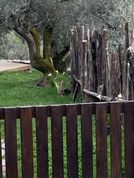 Serviço de Jardinagem