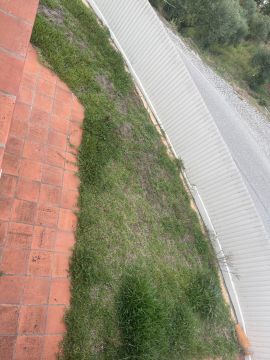 Serviço de Jardinagem - Casa
