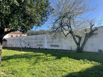 Exterior Painter