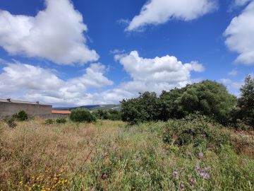 Limpeza de Terrenos - Jardinagem e Relvados