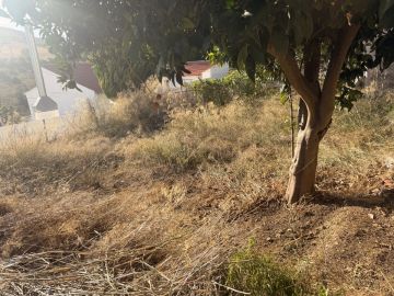 Especialista em Remoção de Lixo e Entulho - Casa