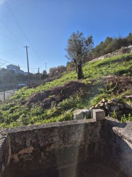 Serviço de Jardinagem