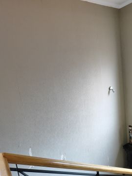 Wallpaper Removal Specialist