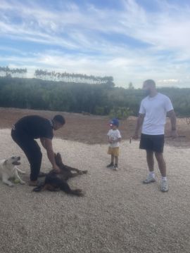 Hotel para Cães