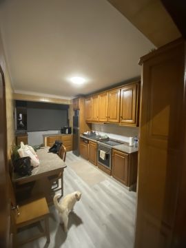 Cabinet Painter