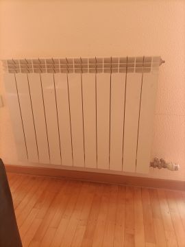 Especialista em Caldeiras e Radiadores - Assistência Técnica