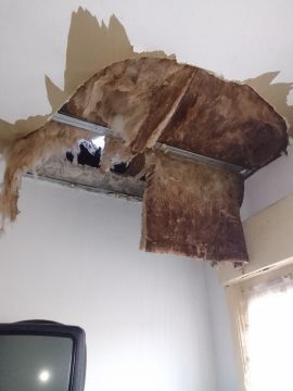 Drop Ceiling