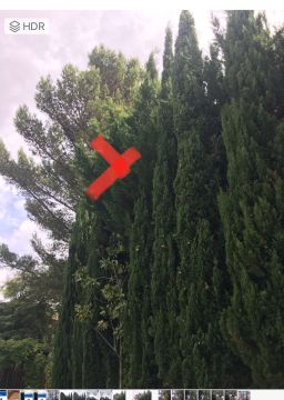 Lawncare