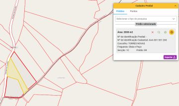 Land Surveyor