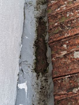 Rénovation et construction - Maison