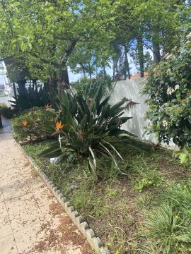 Gardening