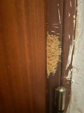 Reparação de Porta - Portas