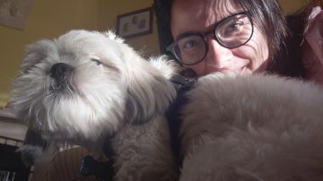Hotel para Cães