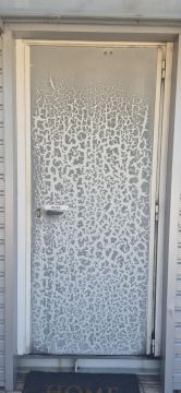 Pintor de Portas