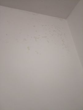 Pintura de Casas