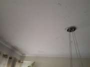 Interior Painter